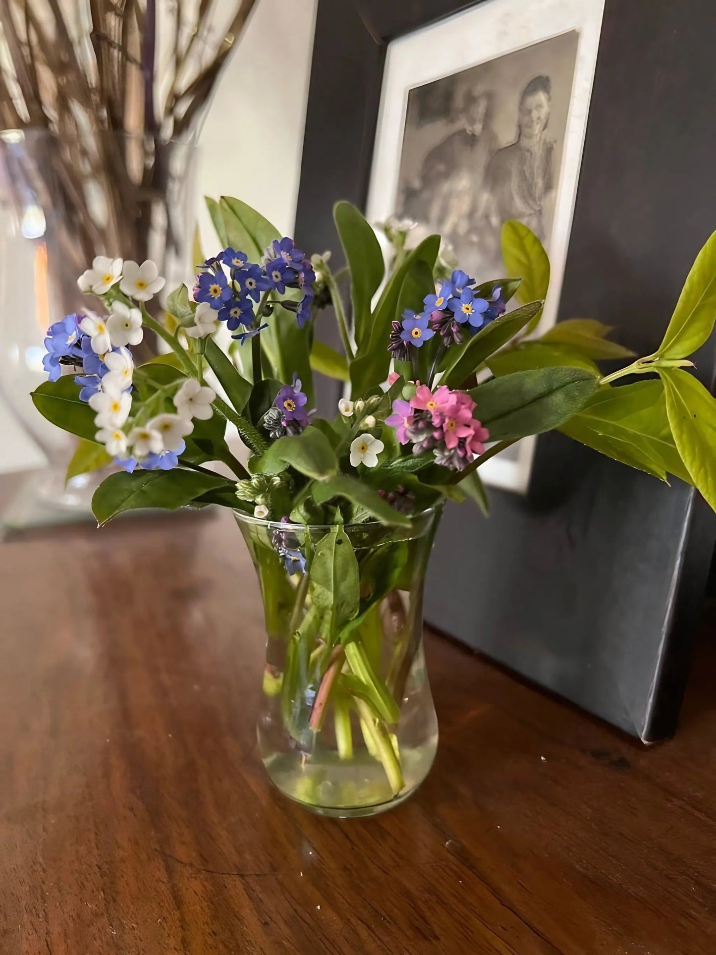Forget-me-not Victoria Mixed
