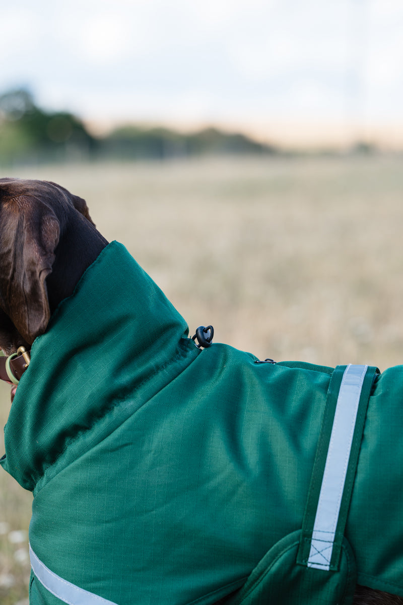 Luxe Waterproof Dog Coat 0g - Hunter Green