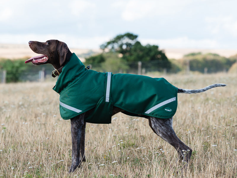 Luxe Waterproof Dog Coat 0g - Hunter Green