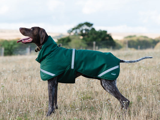 Luxe Waterproof Dog Coat 0g - Hunter Green