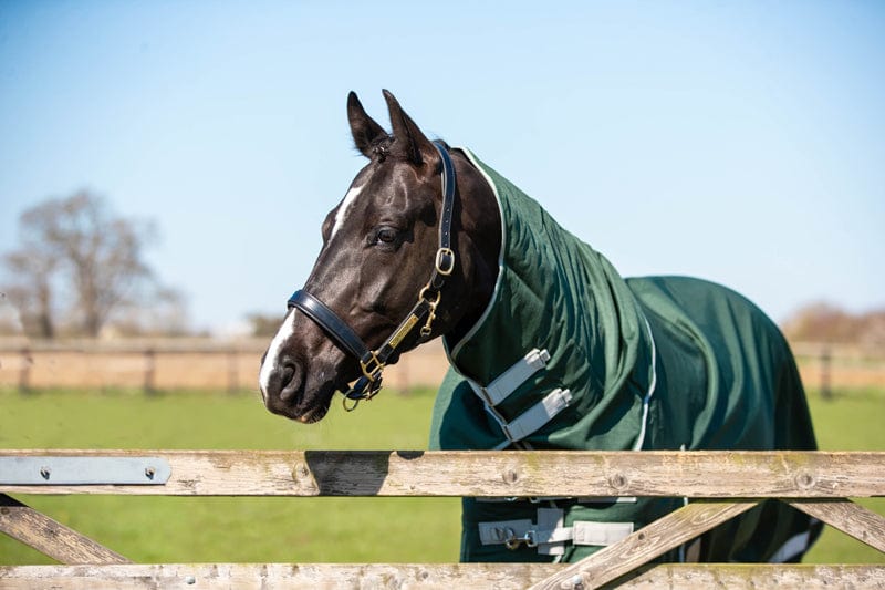 200g Detachable Neck Turnout Rug - Hunter Green