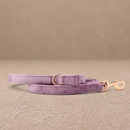Lilac Dreams - Lilac Velvet Dog Lead with Rose Gold Hardware