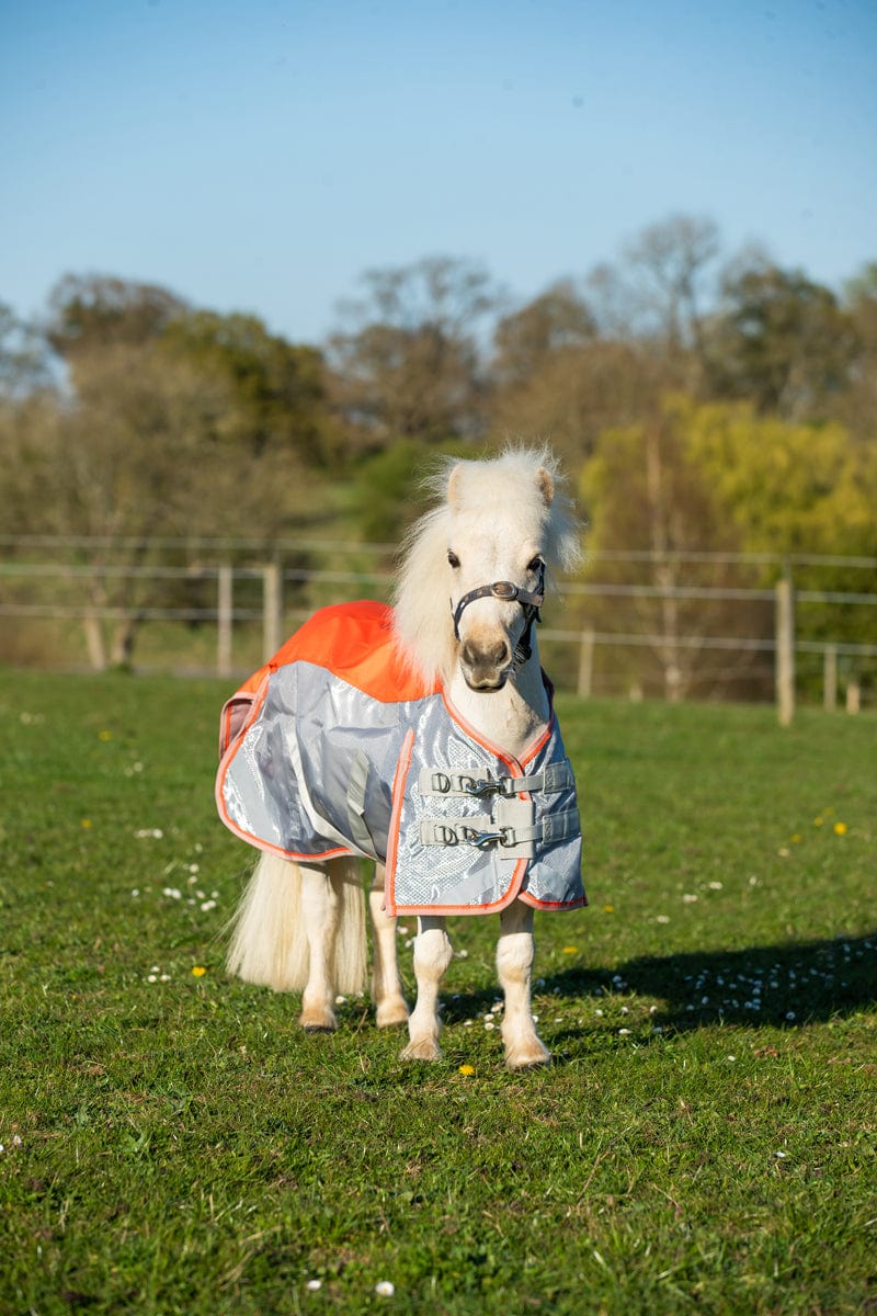MINI Fly Turnout Combination Rug - Orange/Grey