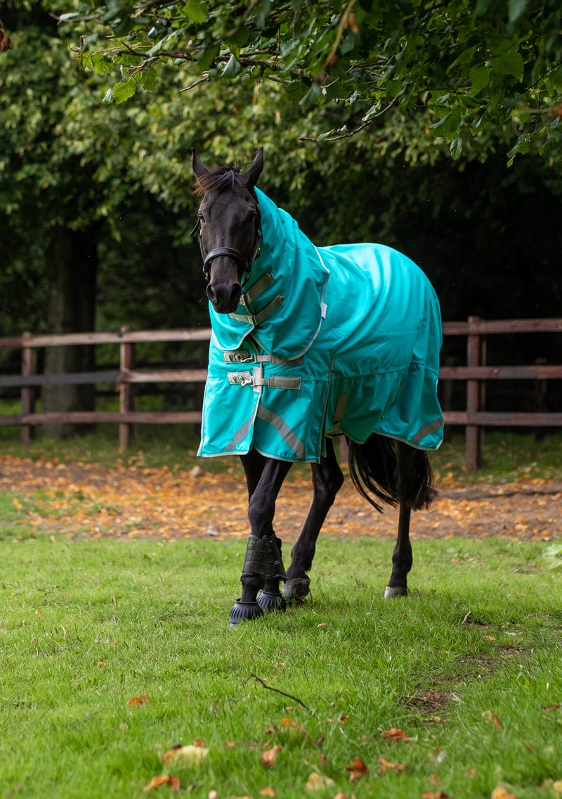 100g Detachable Neck Turnout Rug - Peppermint