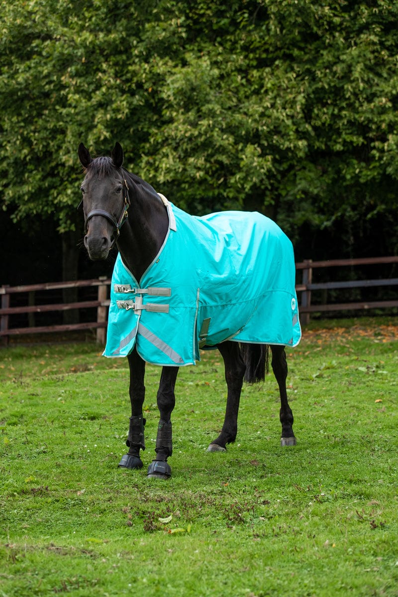 100g Detachable Neck Turnout Rug - Peppermint