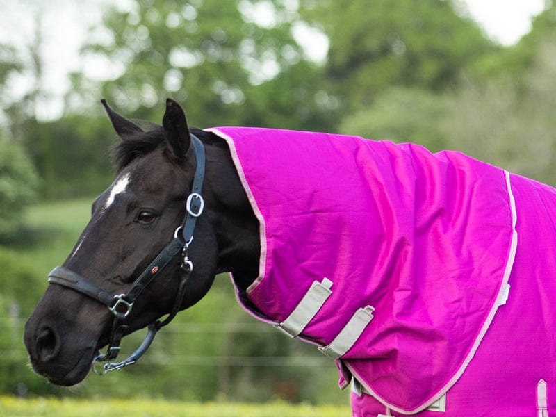 100g Mulberry Turnout Rug Neck Cover