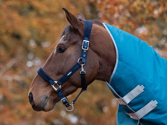 Fleece Padded Head Collar - Navy