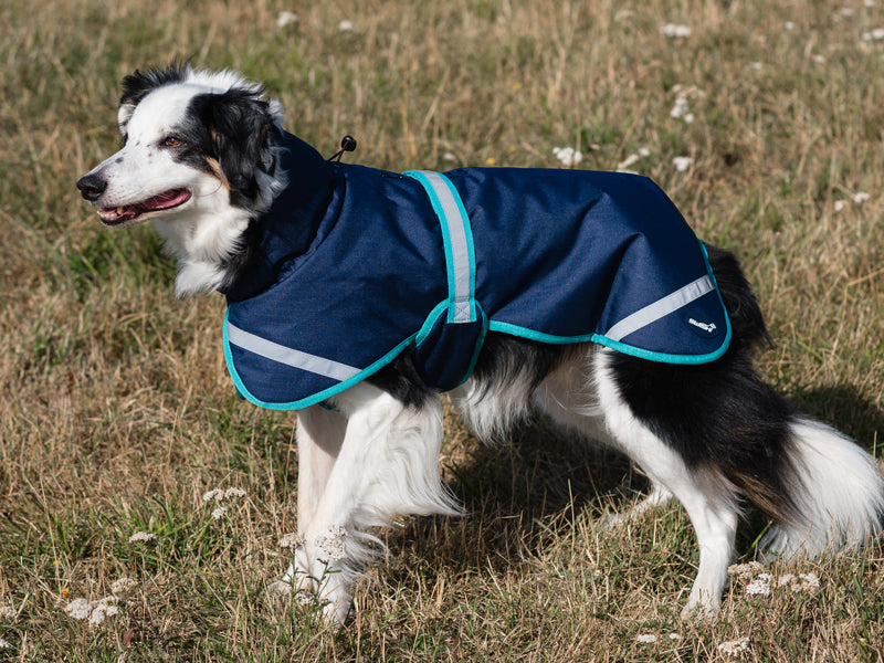 Luxe Waterproof Dog Coat 250g - Navy
