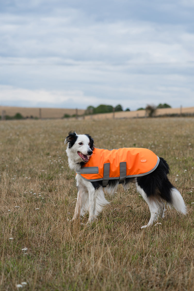 Classic Waterproof Dog Coat 150g - Orange High Viz
