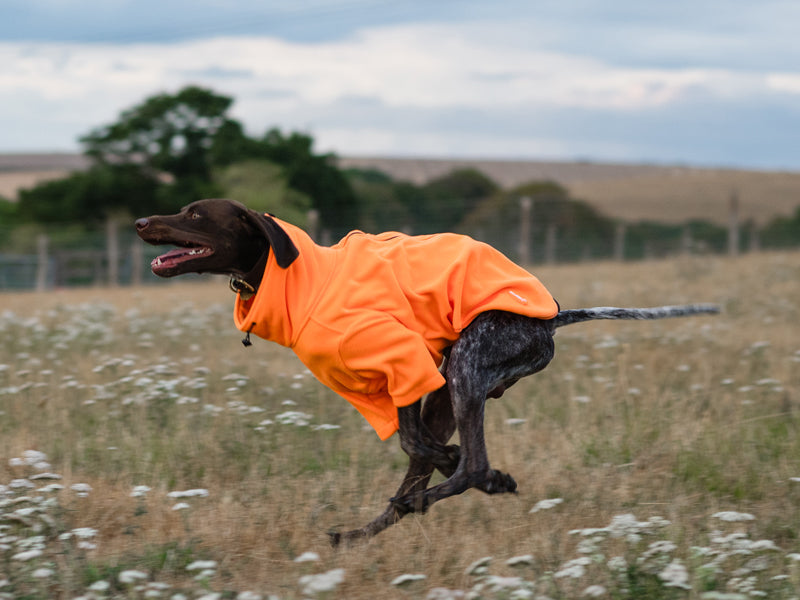 Fleece Dog Jumper - Orange WIDE FIT