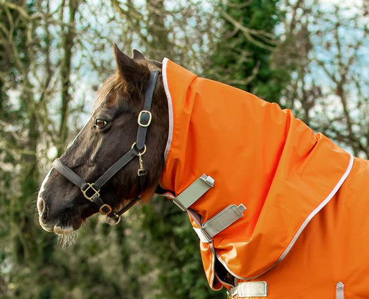 200G Turnout Rug Neck Cover - Orange