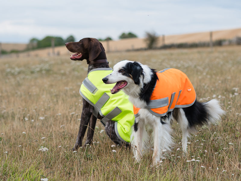 Classic Waterproof Dog Coat 150g - Orange High Viz