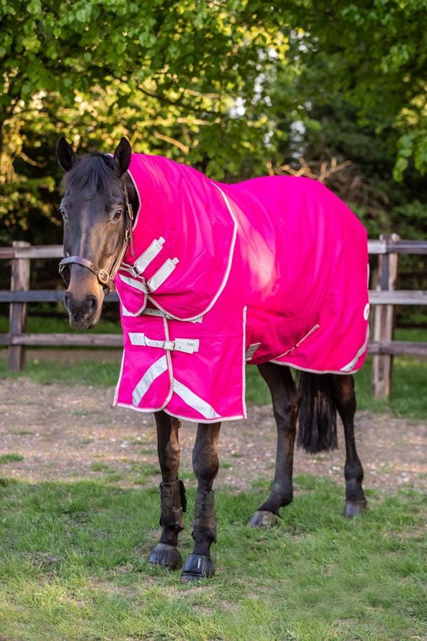 100g Detachable Neck Turnout Rug - Pink