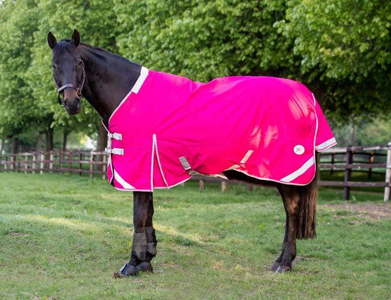0g Detachable Neck Turnout Rug - Pink