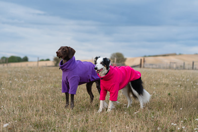 WIDE FIT Fleece Dog Jumper - Purple