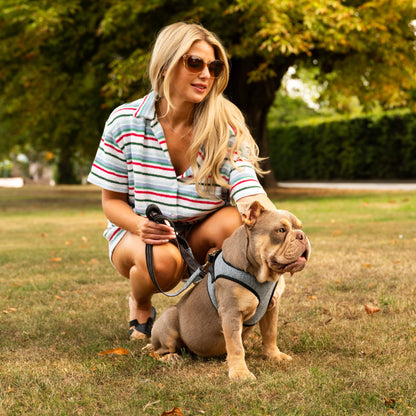 Soho Poms x Bowl & Bone Republic Mayfair Harness - Ocean