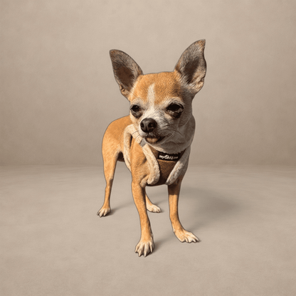 Tiny Trails Step In Soft Touch Suede Effect Faux Fur Lined Puppy and Small Dog Harness Mocha