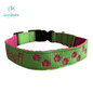 Dog Collar - Mini Paws - Handcrafted - Personalised - 25mm