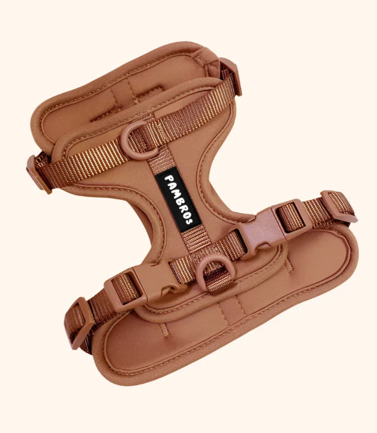 Premium Dog & Cat Harness and Lead Set – Elegant, Adjustable & Ultra-Comfortable